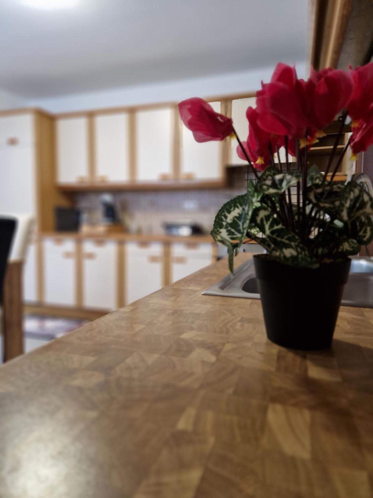 Apartment Lara Sankt Peter am Bichl Екстер'єр фото